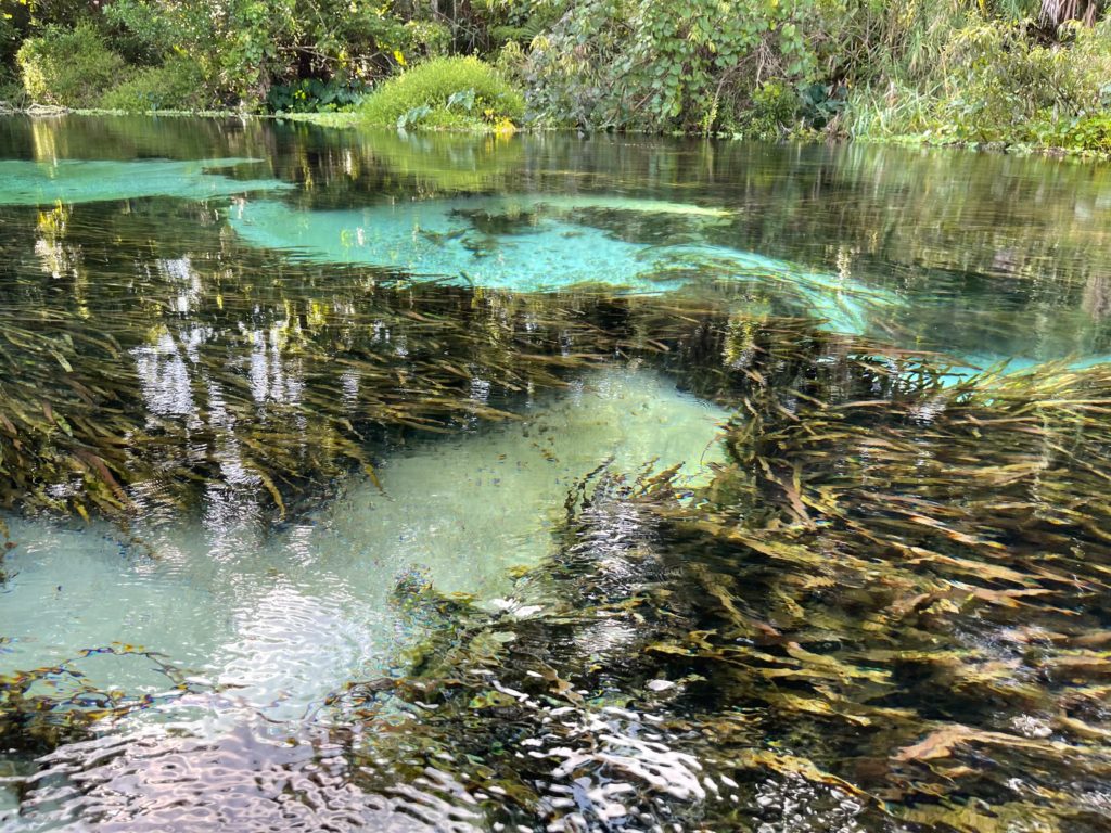 Kayaking in Florida Springs