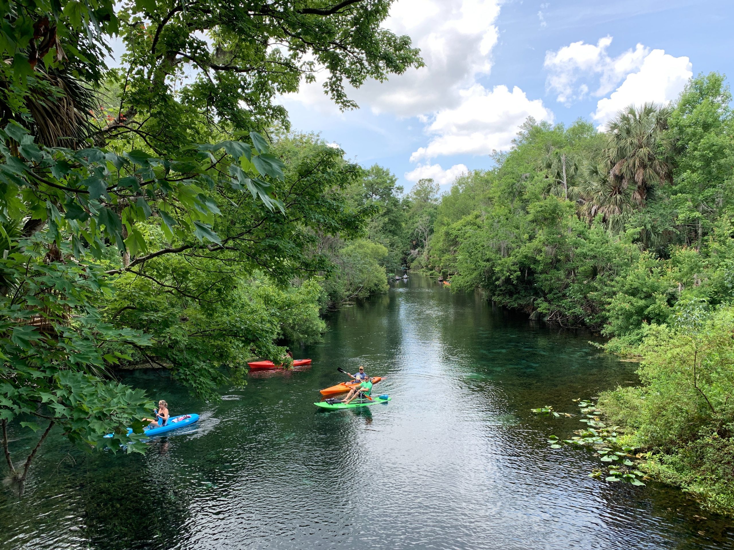 kayaking in the Ichetucknee River in Florida